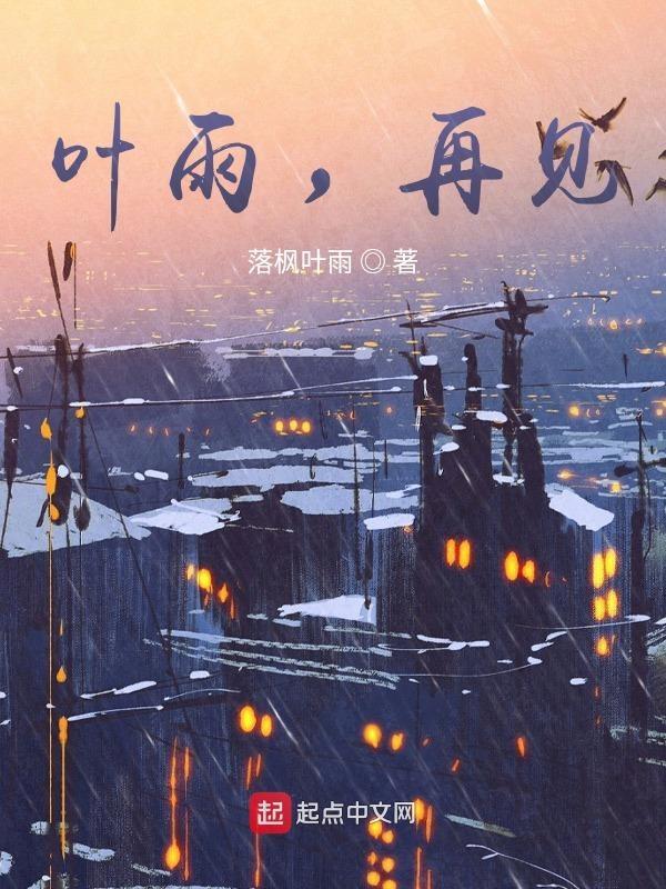 再见叶美娟全本