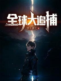 全球缉捕追捕少夫人