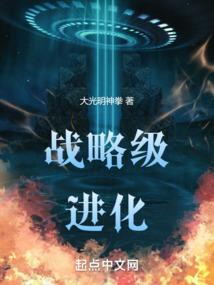 什么叫战略进攻