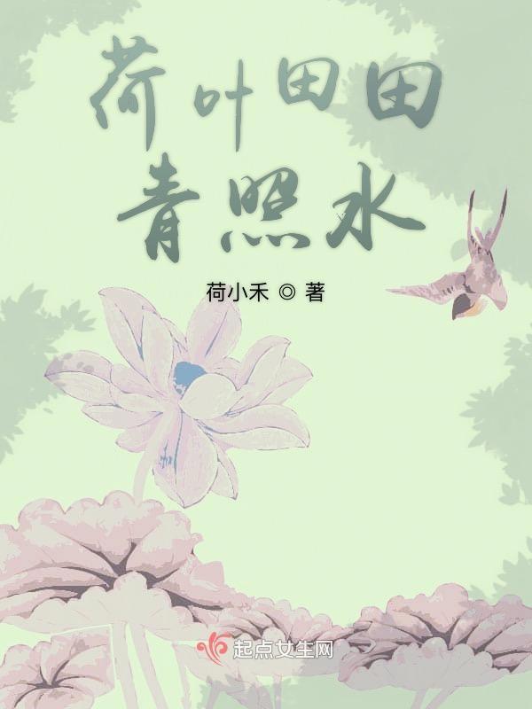 荷叶荷田田的