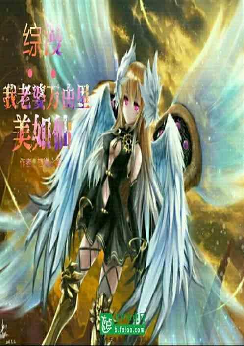 我的老婆们来自万界