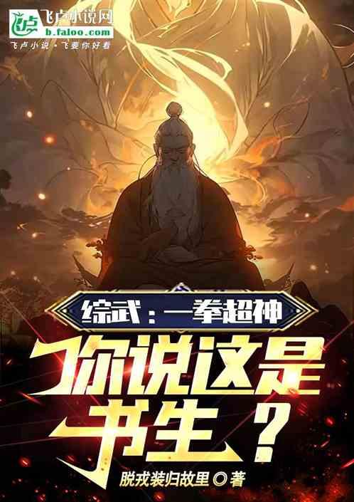 一拳超人之武道宗师