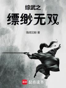 综武之缥缈无双TXT