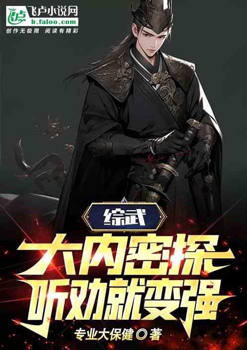大内密探简介