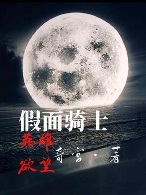 假面骑士英雄追忆