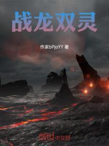 双战龙2