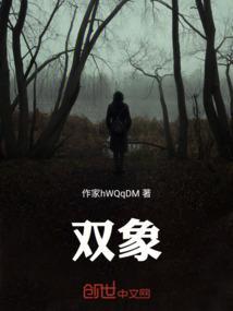 双象集团