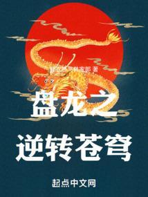 盘龙之