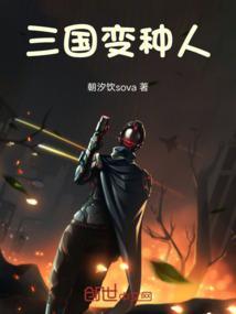 关于三国变身电视剧