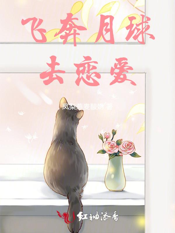 飞奔去月球解析