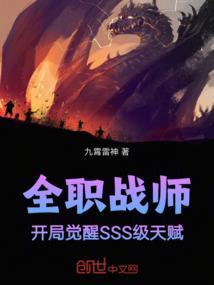 全职高手战斗法师技能