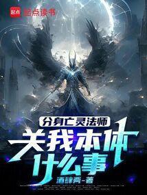 死灵法师分身算宠物吗
