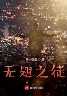 无翅飞翔原型