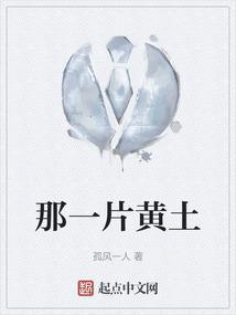 那片黄沙的歌词是什么歌