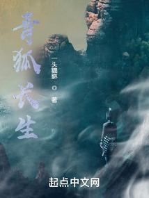 青狐是谁