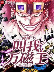 海贼之万磁王免费阅读全文