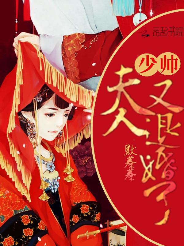 夫人又逃婚了