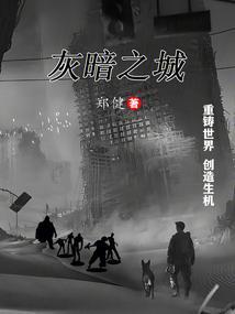 灰暗之年