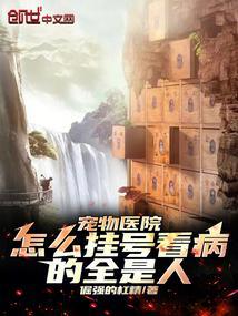 宠物医院 挂号费