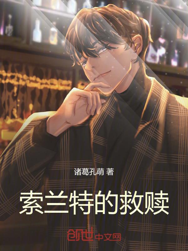 山东索兰特
