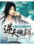 逆天魂尊