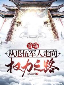权力巅峰 怎么样