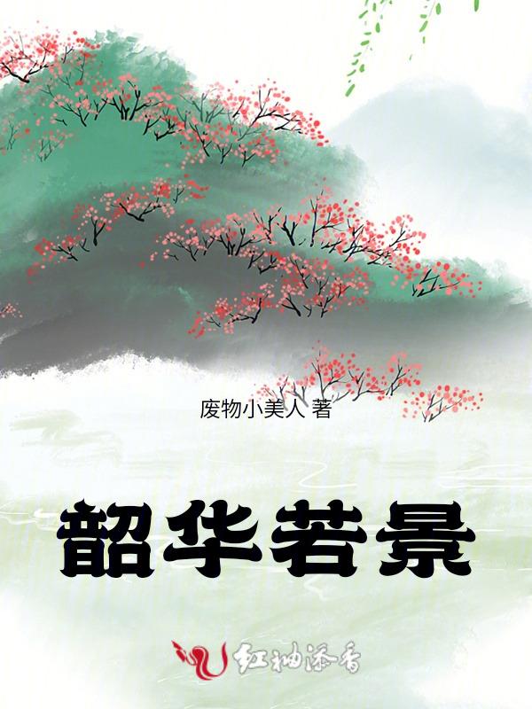 韶华若景演员表介绍