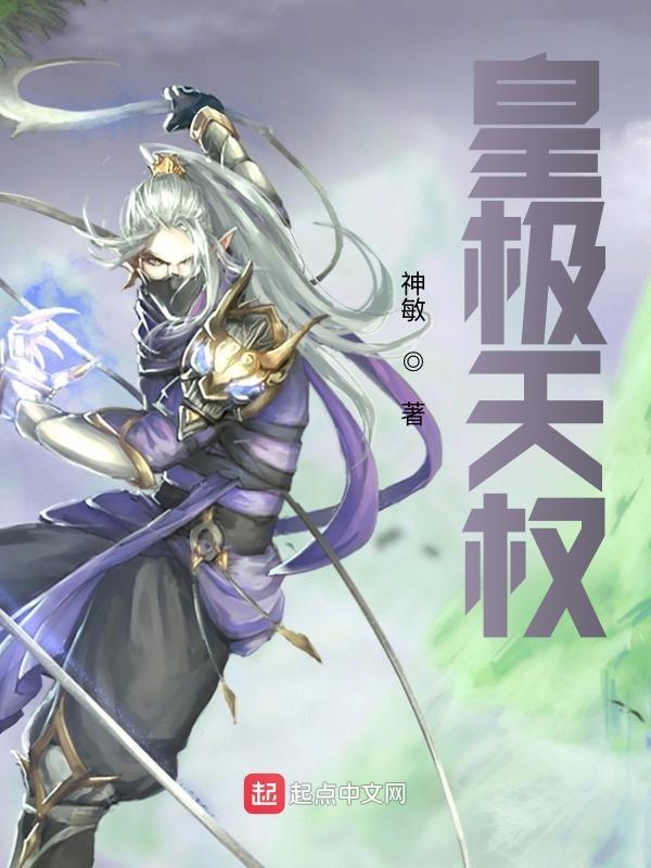 皇极天尊免费阅读