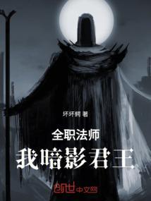 全职法师我暗影君王免费阅读