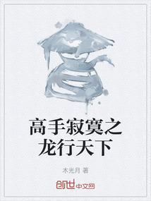 高手寂寞2免费全文阅读