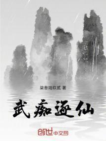 电影武痴剧情