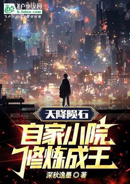 天降陨石所有权