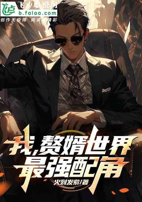 我的赘婿是神仙