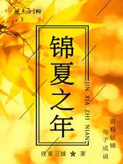 锦夏初冬的含义?