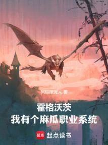 霍格沃茨我有个麻瓜职业系统免费阅读