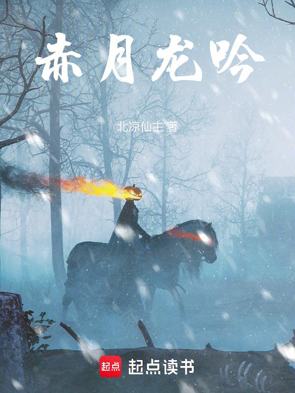 月龙吟评价