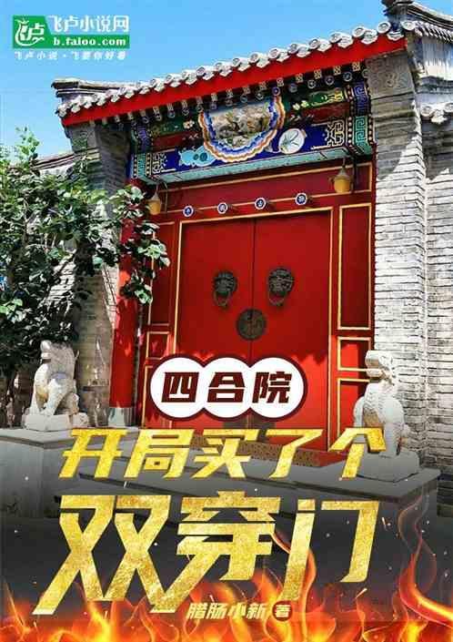 四合院开局买了个双穿门