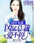 蚀骨宠婚强宠总裁妻