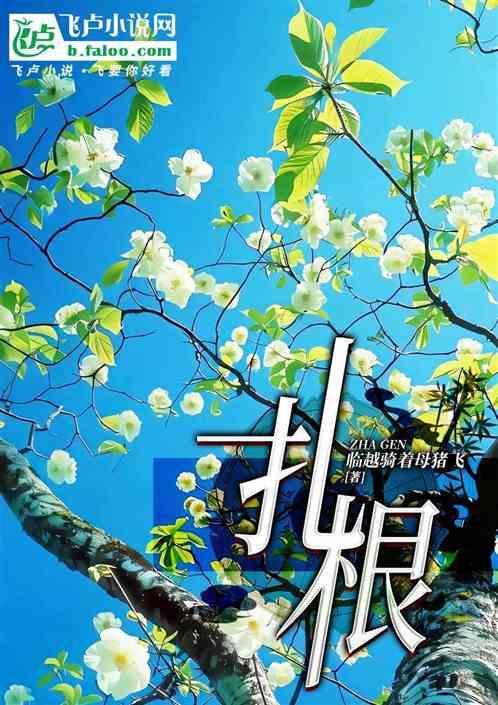 扎根理论是定性还是定量