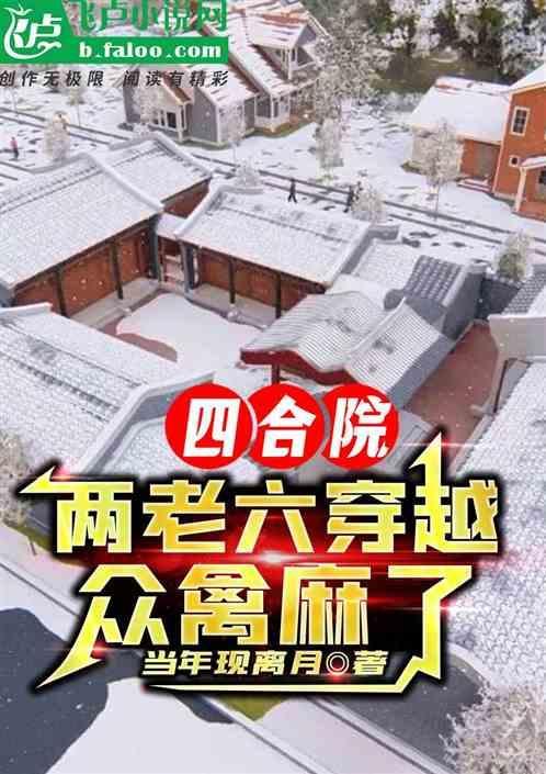 四合院一大爷老来子