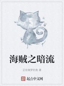 海贼王之暗皇顶点