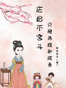庄妃娘娘电视剧是什么