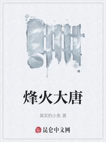 烽火大唐沈锋