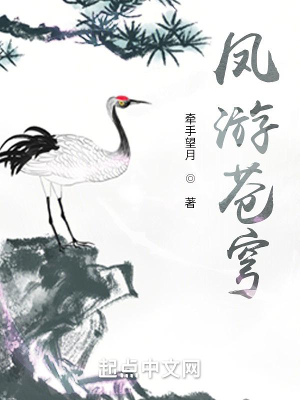 凤舞穹苍