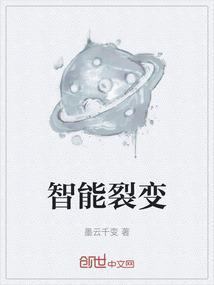 裂变网络科技有限公司