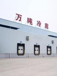 四合院开局就分家