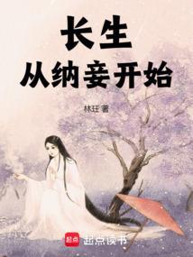 长生从纳妾开始无敌上品灵石