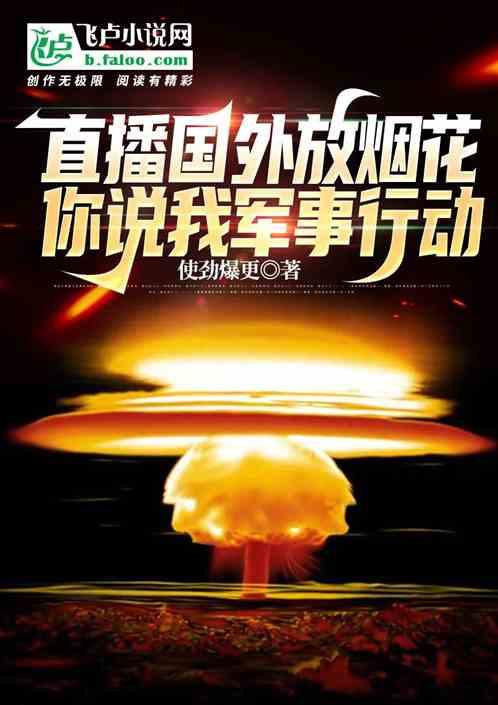 老外放烟花视频