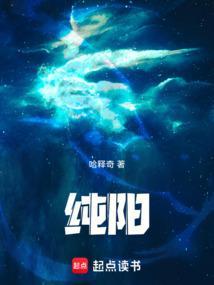 纯阳中学