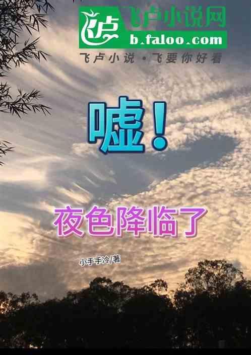 当夜色降临的时候